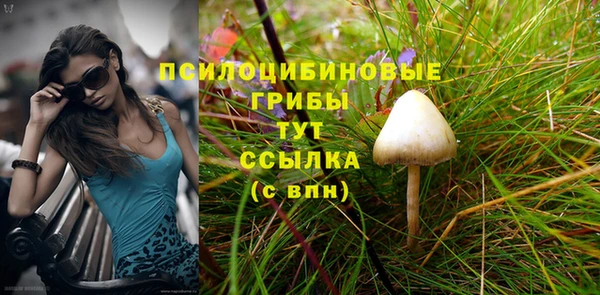 прущий лед Аша