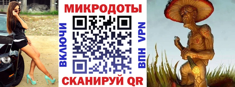 Псилоцибиновые грибы Psilocybine cubensis Заволжье