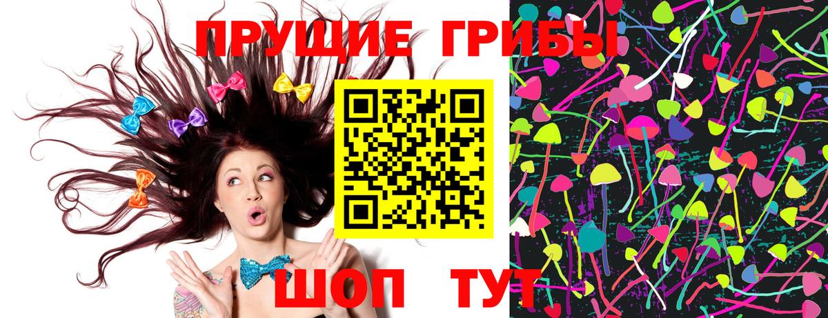 Галлюциногенные грибы Psilocybine cubensis Заволжье