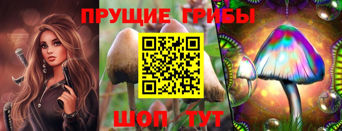 Псилоцибиновые грибы Magic Shrooms  Вход с VPN  Галлюциногенные грибы мухоморы  Заволжье 