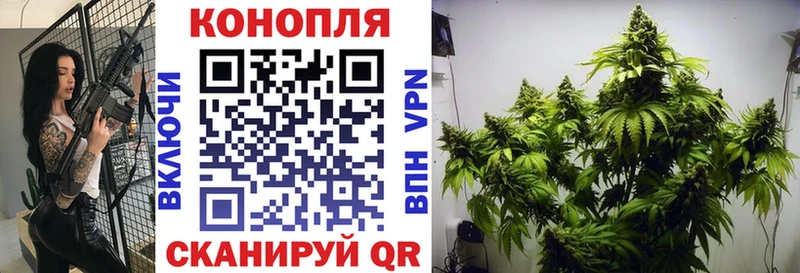 как найти наркотики  Заволжье  Канабис тримм 